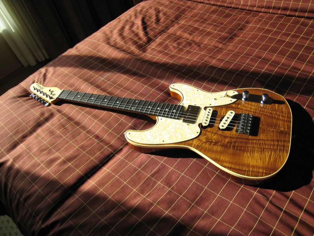 swamp ash tree